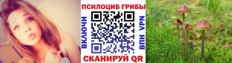 Галлюциногенные грибы Psilocybine cubensis  Тольятти 